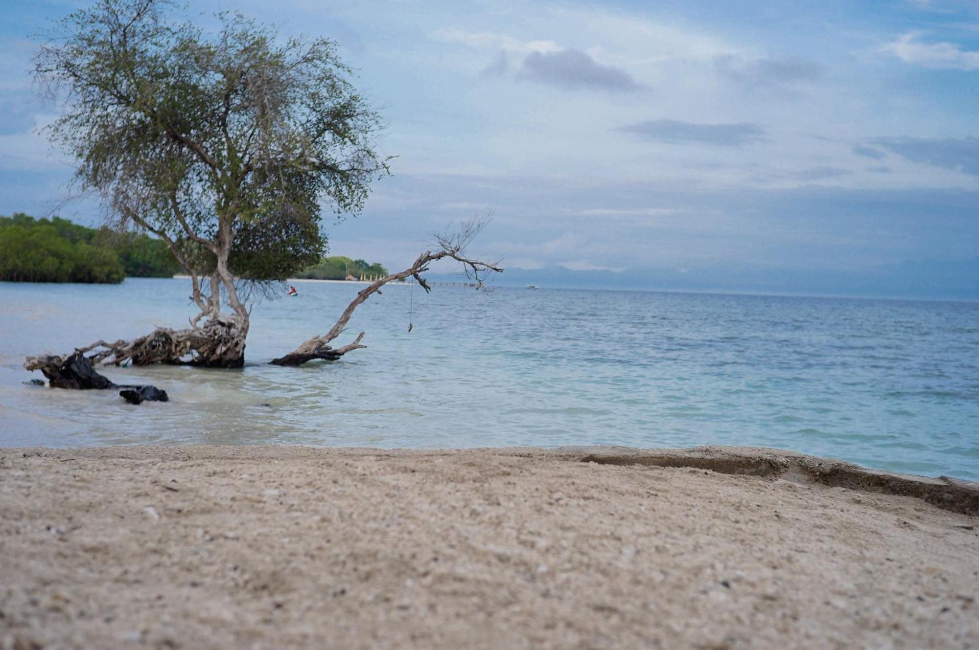 Yut'S Inn Flower Paradise Gili Gede Kültér fotó
